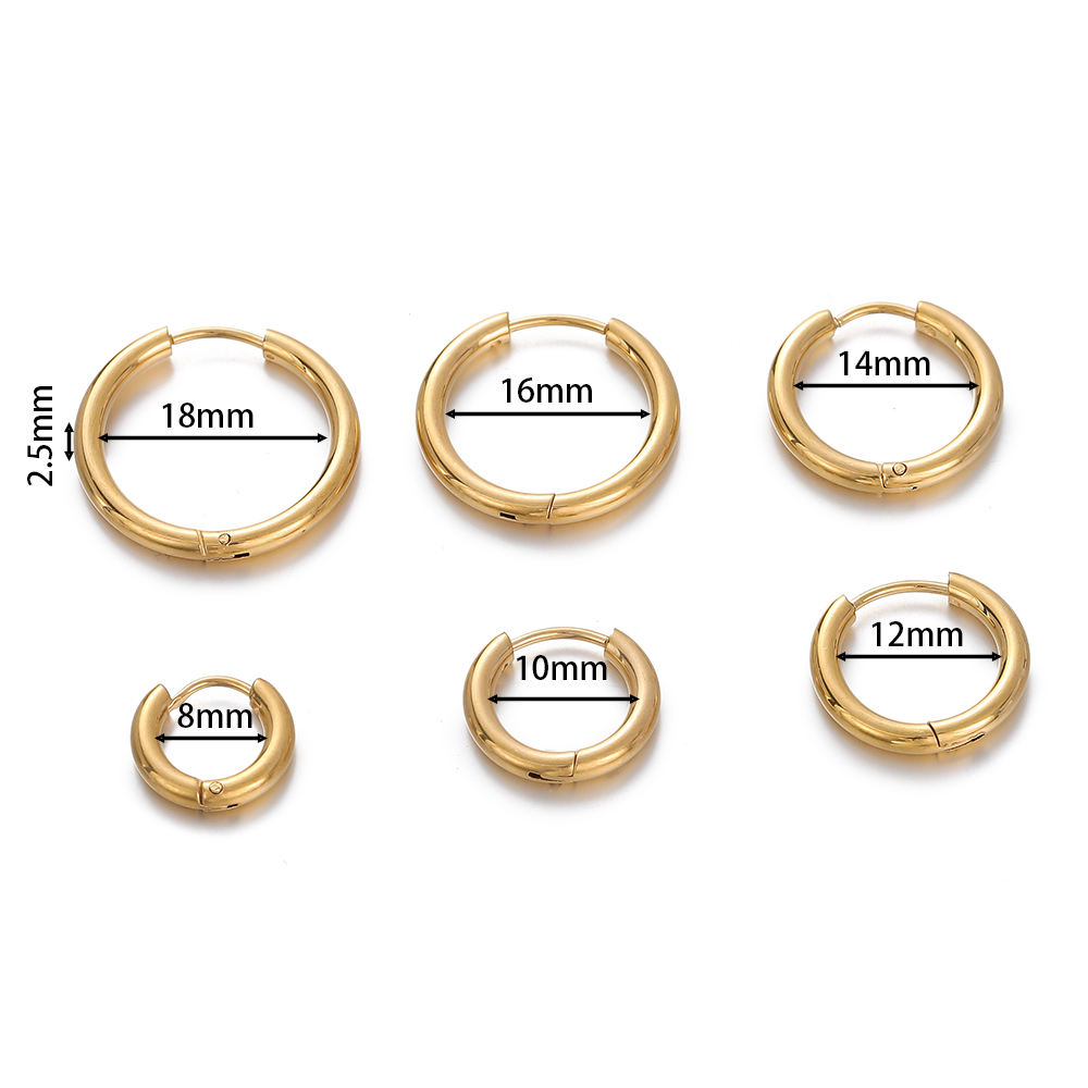 2 stuks 8/10/12/14/16/18mm Rvs - Men Accessories Earrings recensie en prijs